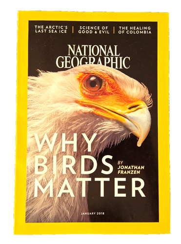 Bald eagles and other - bald, exotic